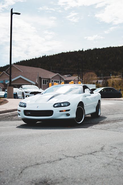 Guía Completa: Tipos de Vehículos y Cómo Elegir el Ideal